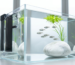 A minimalist, modern aquarium setup featuring a sleek filter, a smooth white decorative stone, and a small school of tetras swimming in clear water.
