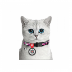 Wow Dog | Qlada with (QR) ltkhzyn byanat cats wdogs - Image 2