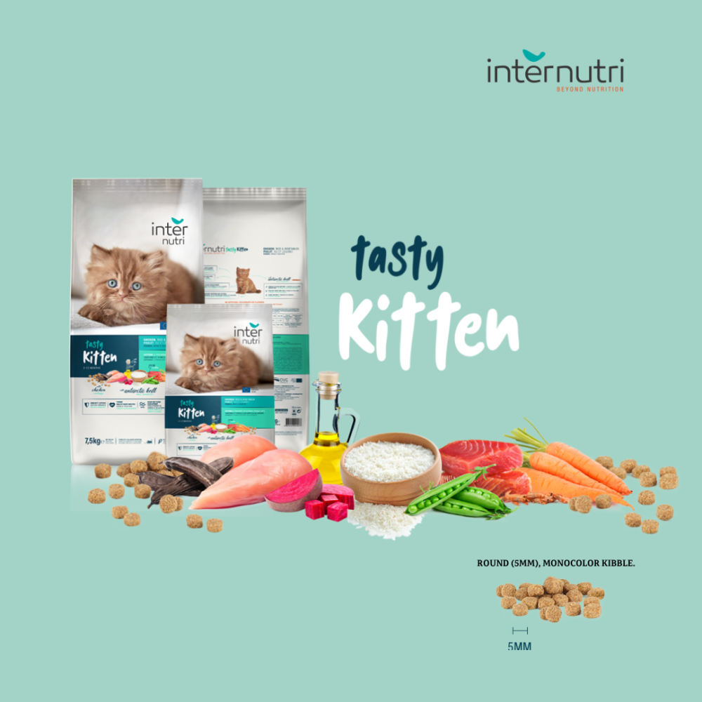 271e0a6a-30e9-4b3b-856e-4ee9971ab9ec-1000x1000-nDwMCFFQpOhXNg05X72ZcICijbKdhUSSpmJRuS2z Tasty Cat | Kitten food with chicken and rice - Image 1