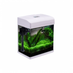 BOFIT | Desktop aquarium PF200