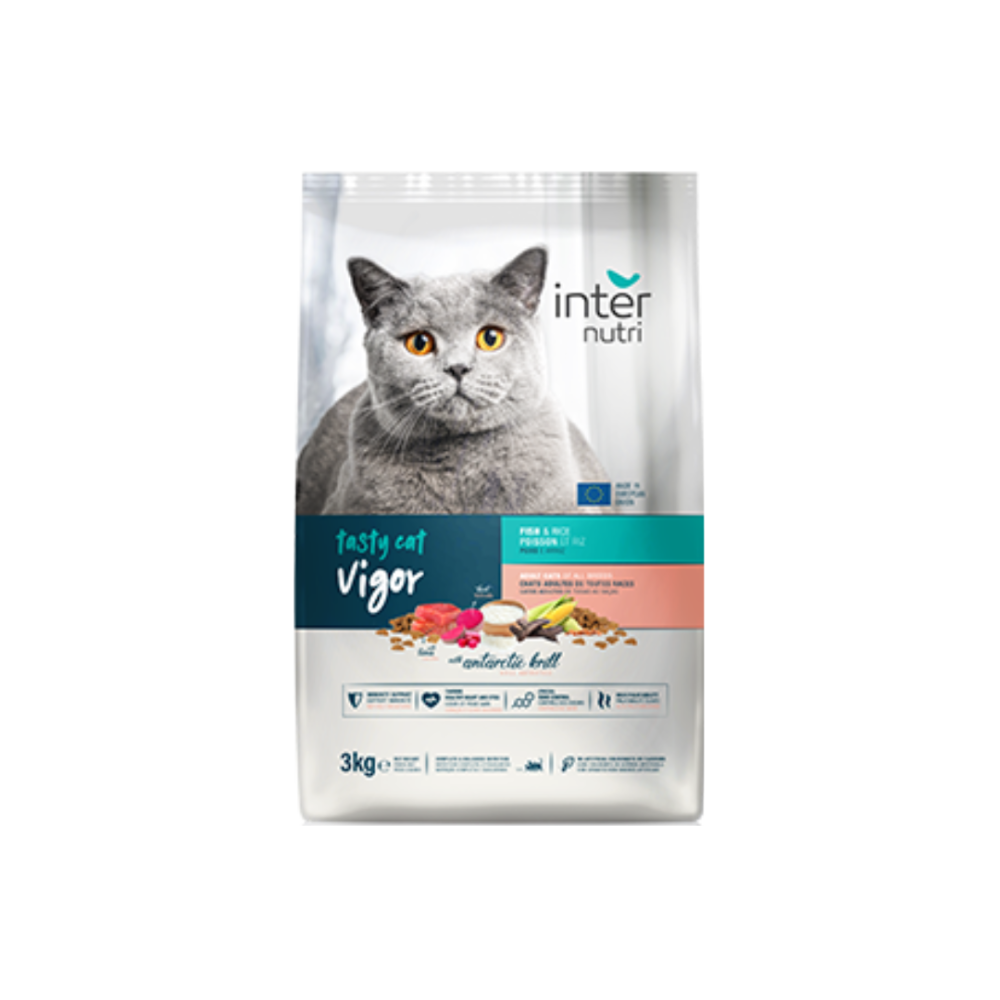 60416c54-ac9b-45be-96de-ad28aa70035c-1000x1000-rIo6W9r053ExzSzsNradiefcJBBGVB24RDetgUiM Tasty Cat | Adult cat food lthinz altaqa - Image 1