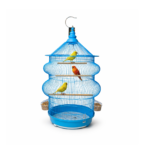 طيور حب وبادجي داخل المساحة الواسعة لقفص دايانغ C406 طراز باجودا / Budgies and lovebirds exploring the spacious tiers of the Dayang C406 pagoda cage