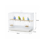 Sizing diagram for the Dayang A600 White Bird Cage showing precise measurements of 45 cm length, 31 cm width, and 35 cm height.