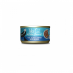 Tiki Cat | Cat food with tuna and fish white wpumpkin in gravy