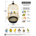 مخطط مقاسات قفص طيور دايانغ A410 الذهبي (33×63 سم) / Dayang A410 Gold Bird Cage