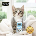 Kit Cat value packya almilk for cats - Image 2