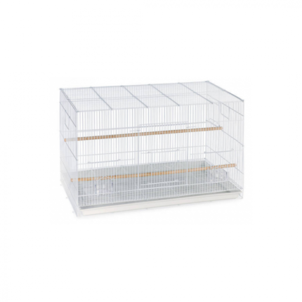 Dayang | Bird cage A759/610