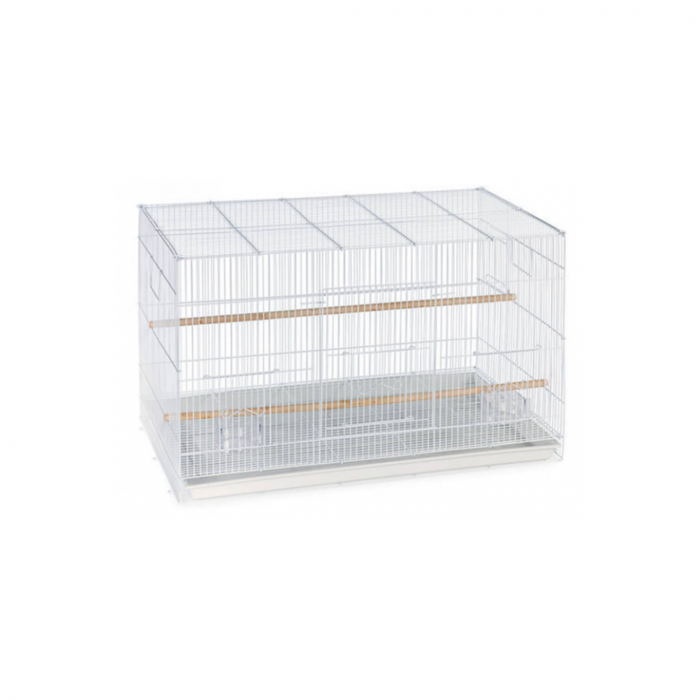 H8HKTwfLsnsaqbZxyXDPnYMKo1jBSqTpo3J1GkX8 Dayang | Bird cage A759/610 - Image 1