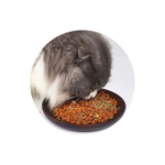 Mint albry for cats (katmynt - katnyb) - Image 2