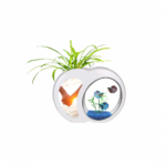 حوض سمك على شكل تفاحة YB01