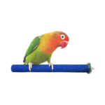 Stick sandpaper for birds 01730