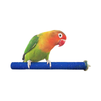 Stick sandpaper for birds 01730