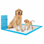 Green Bone | Wsadat tdryb for dogs wpuppies - 30 chunks - 22 x 22 cm - Image 2
