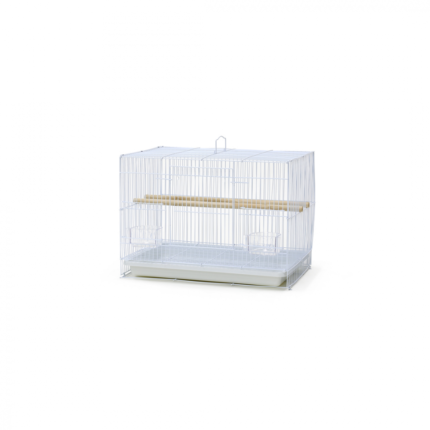 Dayang | Bird cage NL801