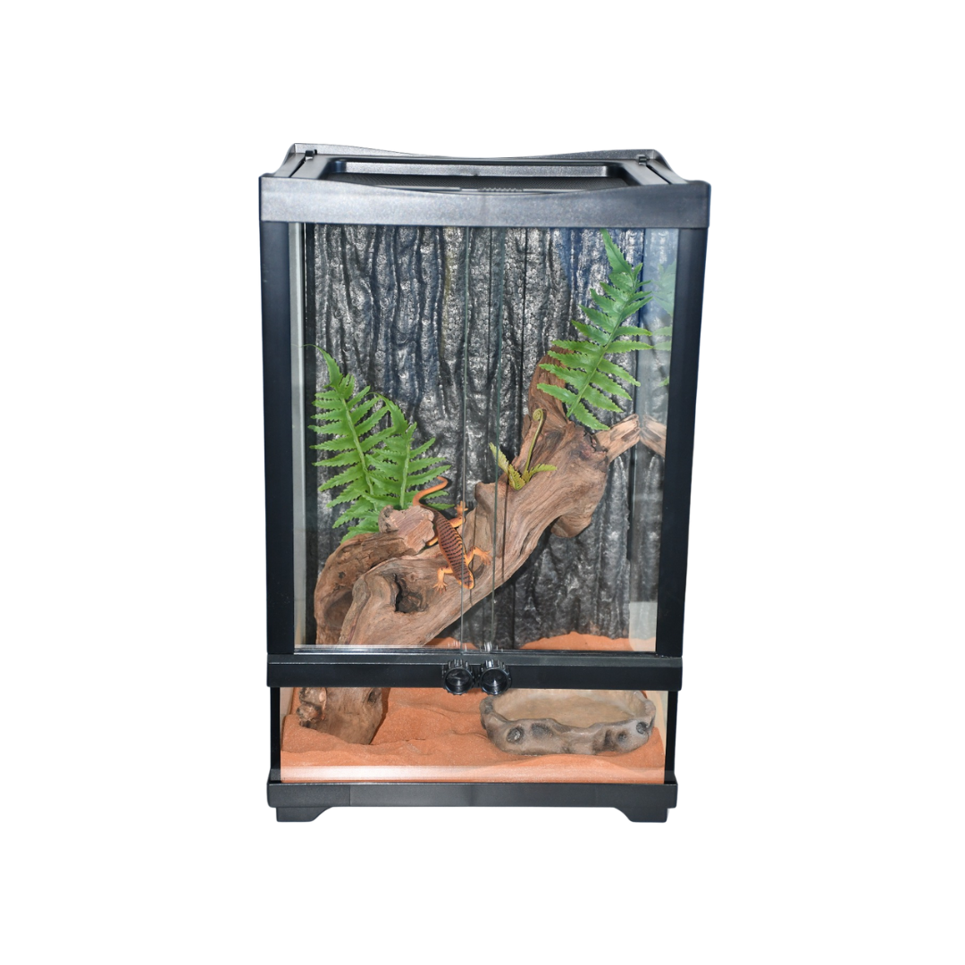 Q4P0FOujdaZKseOePMcvVrZemBi7qlkErrMmuzEA Dophin | Tank twly llreptiles TT - 801 - Image 1