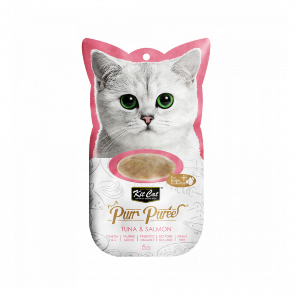 SmXXyZ9Umle5CJSPZtXoorOQ2pDukHiLJphxcf9B Kit Cat | Bywryh tuna wslmwn - Image 1