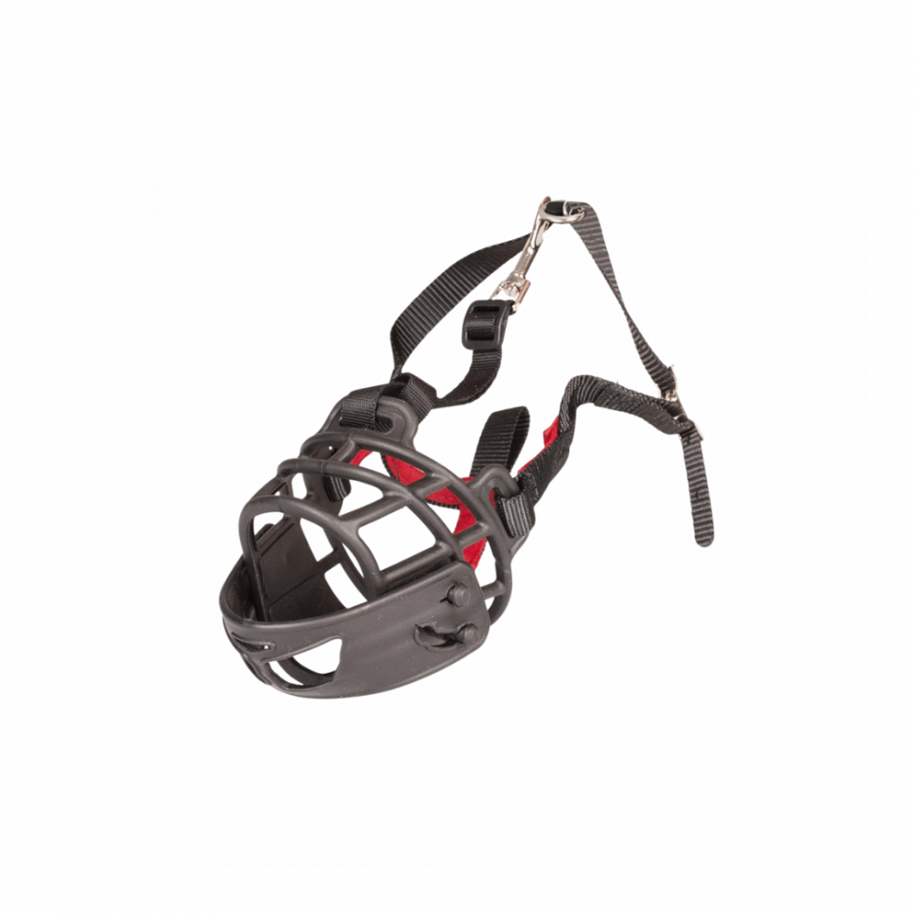 TFAjDA9yplq0WvGQPQzXXLtTFYO1JH8UhohueHlG Duvo | Nylon dog harness 65 - 80 cm/25 mm - Image 1