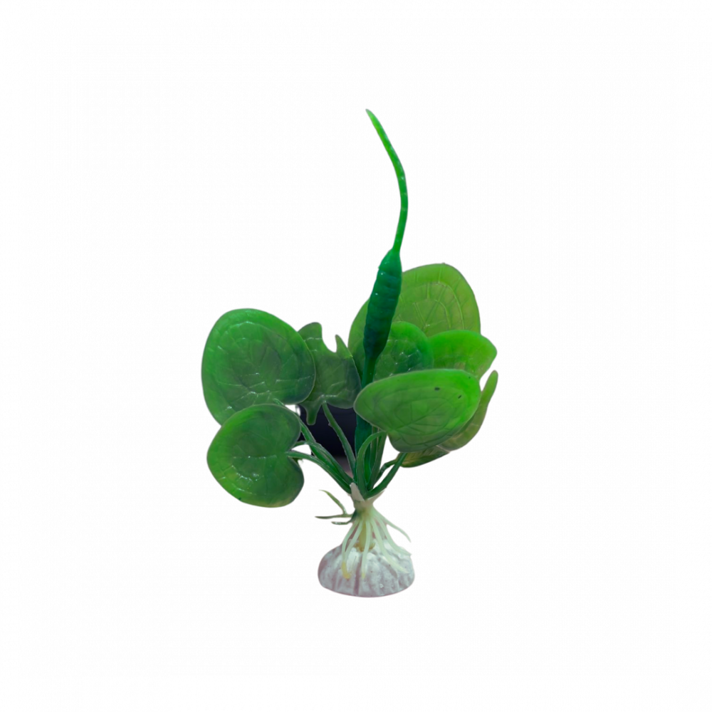 TwWoixO4An1CEDrAF8M0w1VXgplcOsLqybBAZlgh Plastic plant for decorating aquariums (10 cm) - Image 1