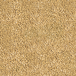 Sera | Food kibble for fish alfaytr