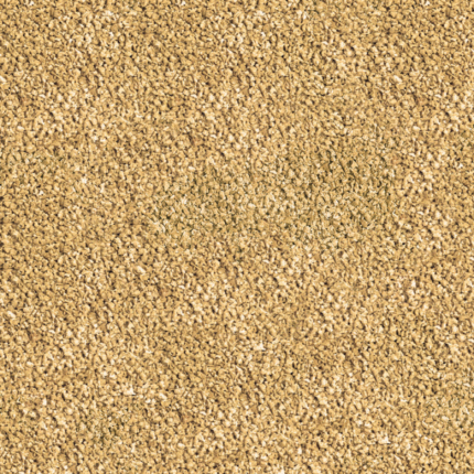 Sera | Food kibble for fish alfaytr