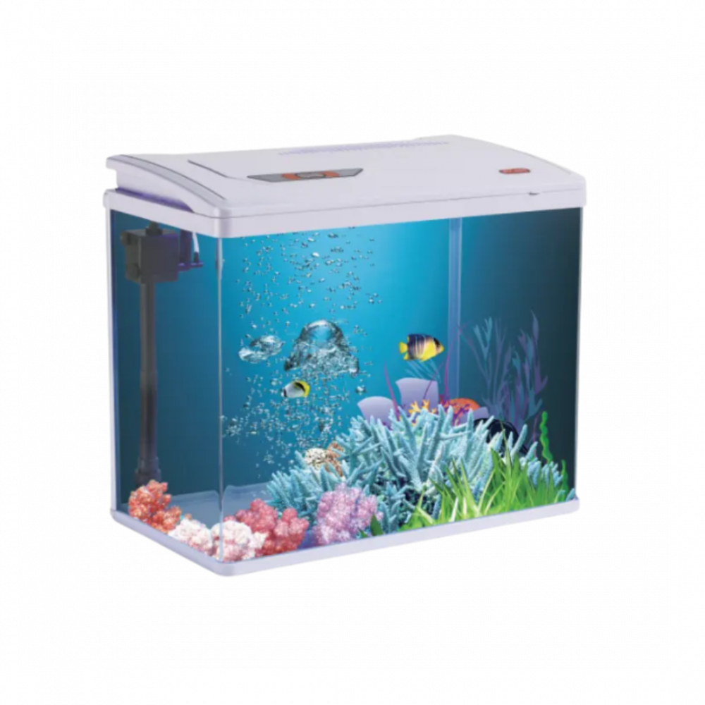 aXPhCNTB1VWUT666QA9MtUvmMtewzwlfEdhdaJKi بوفيت | حوض سمك مكتبي PY480 - الصورة 1