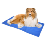 Duvo | Hsyra tbryd for dogs (L) 90 x 50 - Image 2