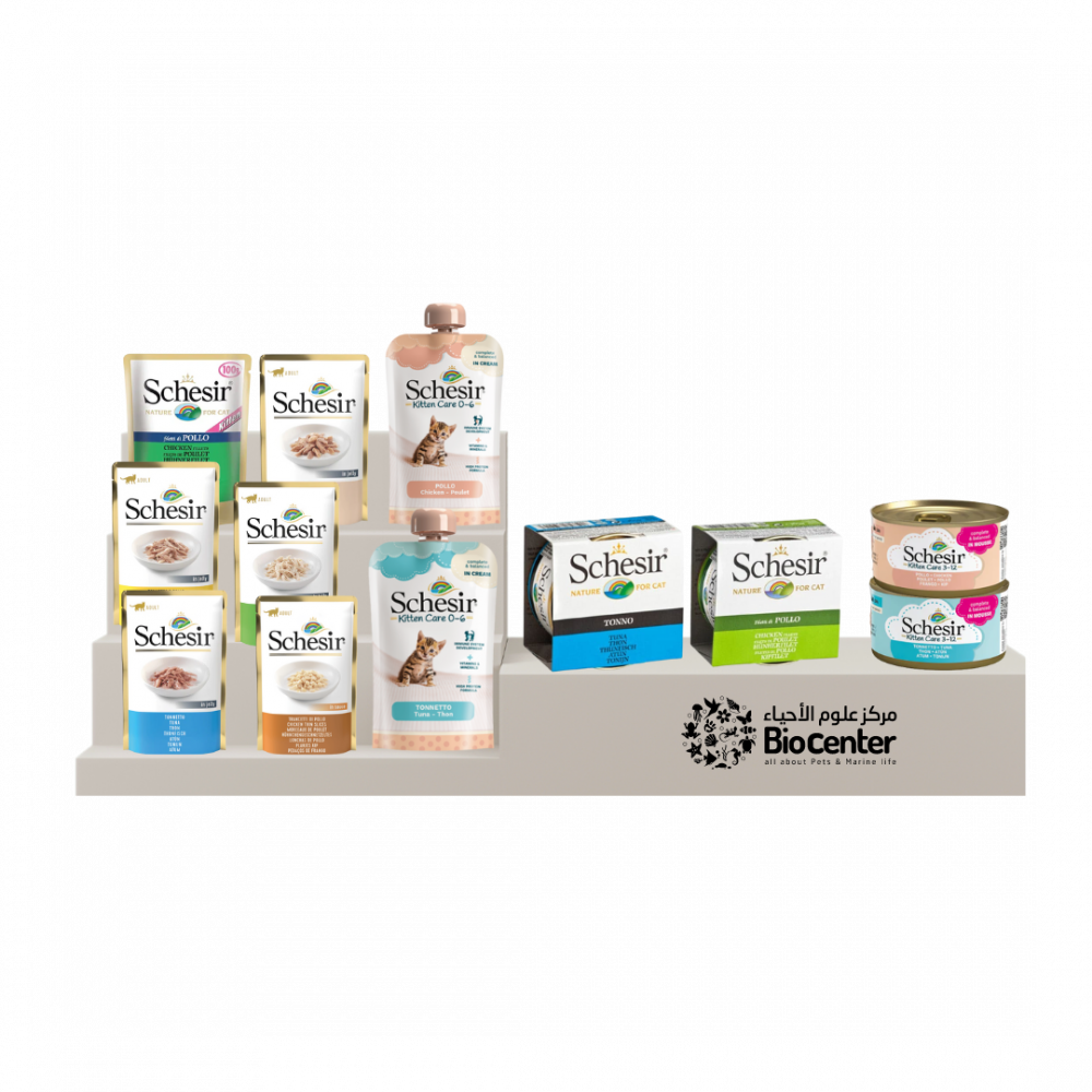 gbTLk42lpgwnTA7mHJHlOk5a2oRwfj9UFO4gqSln Schesir | Food alwet for cats - Image 1