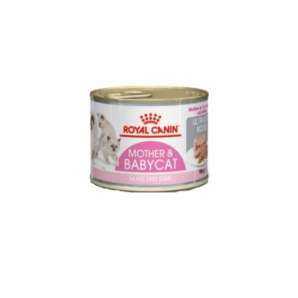 gjV5Rjzi1MYZ71Zui7BFX5E1XuusPm1bnPyginUV Royal Canin | Food mother and baby cats balqshta walsauce - Image 1