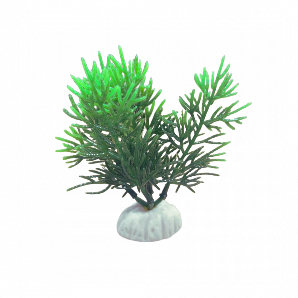 gmoYwYZx5jXAvK2XtlVPKY7GnhuHaCs1QWkdZCOm Plastic plant for decorating aquariums (10 cm) - Image 1