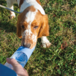 Duvo | Drinking bottle - Image 2