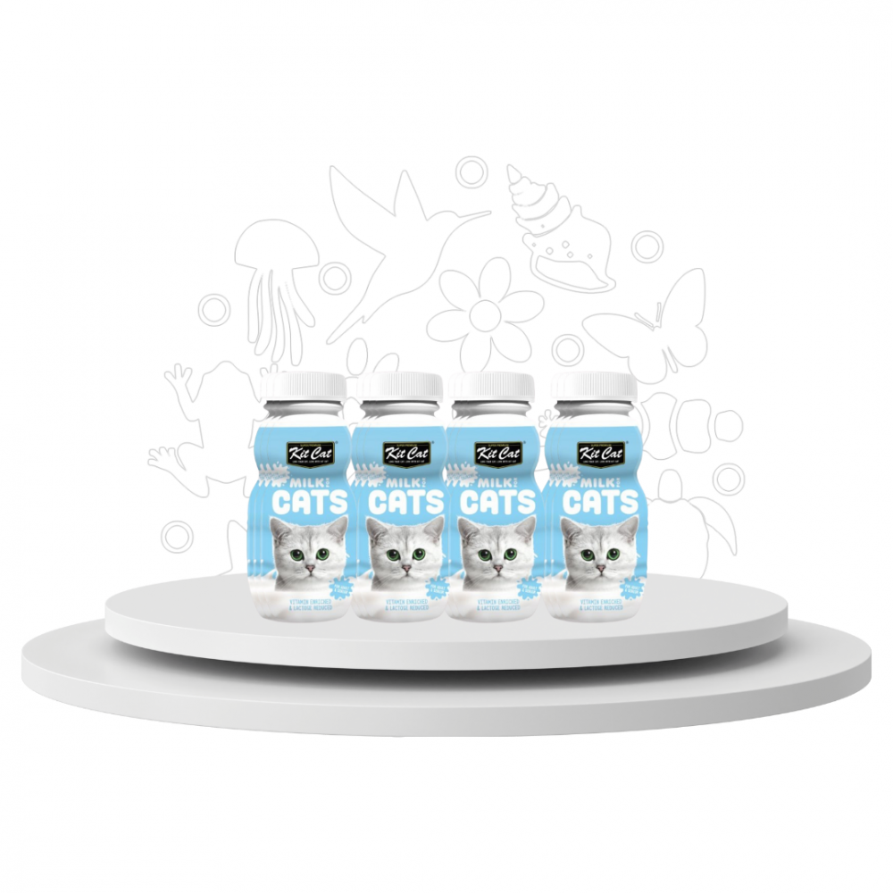 qyoKpiIeCQXLGFAQu4B5284A2jlJt5pcDWCOF88S Kit Cat value packya almilk for cats - Image 1
