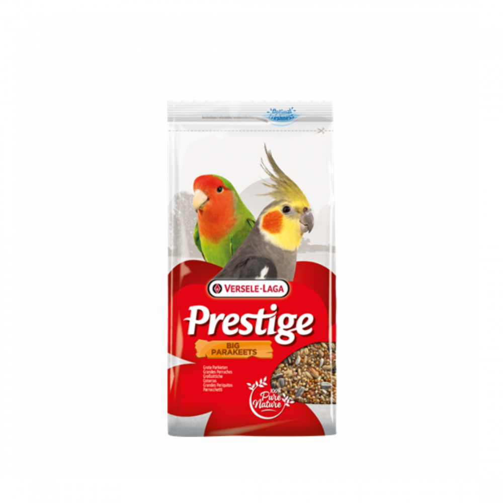 r3Y8JLMWcMRVgUVtMjBEa63MMTaDs7FpGQu7ImuQ Versele-Laga | Brystyj food assorted llkwktyl wFischer's lovebird - Image 1