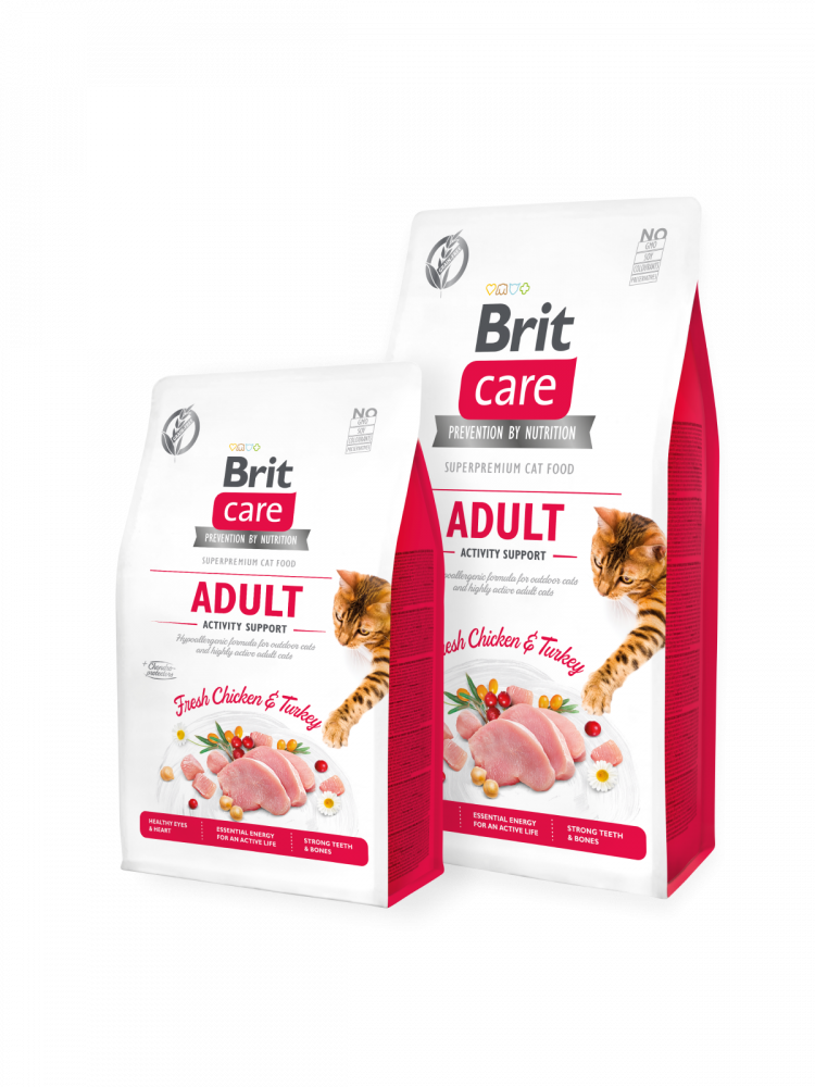 rycmkmROQCy3ahMJu8UrQ9WCMZASt3KCwE1nucm0 Brit | Care Cat grain - free ldam nshat adult cats - Image 1