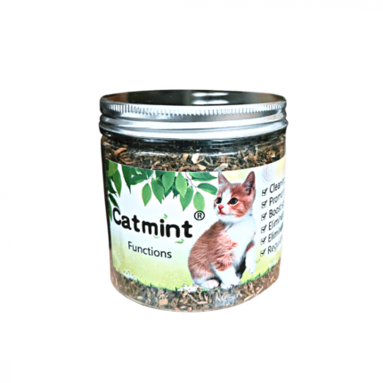 Mint albry for cats (katmynt - katnyb)