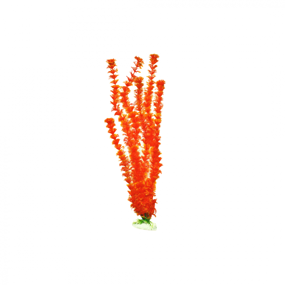 vXAct1gs6slf85UUgmbsZyxQHhqNaFjfP2KtJjWC Plastic plant for decorating aquariums (46 cm) - Image 1