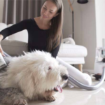 Mzyl shar pets dhaty alcleaning with makyna hlaqa khrbayya layada alhywanat - Image 4